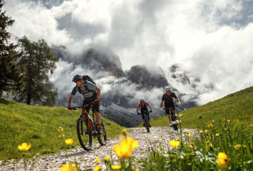 almfru-hling-bike-su-dtirol