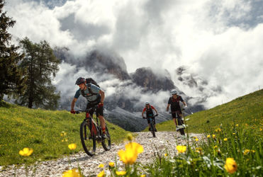 almfru-hling-bike-su-dtirol