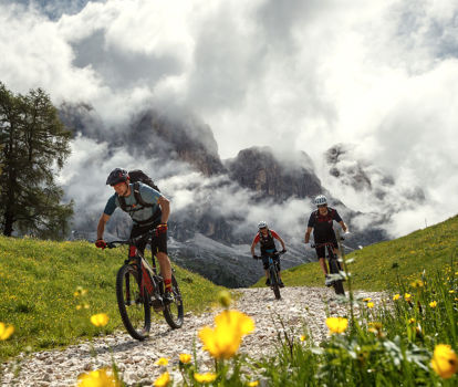 almfru-hling-bike-su-dtirol