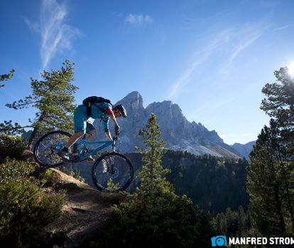 carver-manfred-stromberg2475b