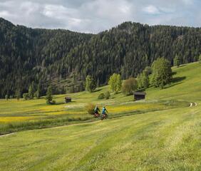 Two people riding their bicycles across an alpine meadow