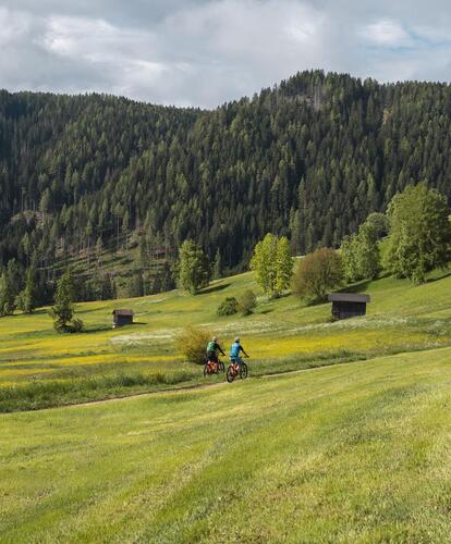 Two people riding their bicycles across an alpine meadow