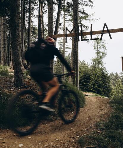 A mountain biker is riding along a path through the forest