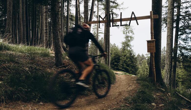 A mountain biker is riding along a path through the forest