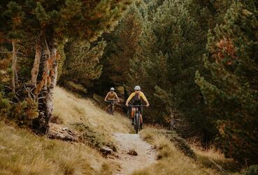 Zwei Mountainbiker im Herbst