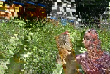 green-days-rosengarten1