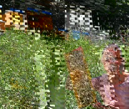 green-days-rosengarten1