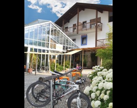 Bamboo hotel