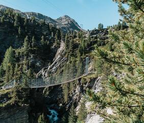 Suspension bridge over a deep gorge, surrounded by dense conifer trees and mountain landscape in the background; clear sky.