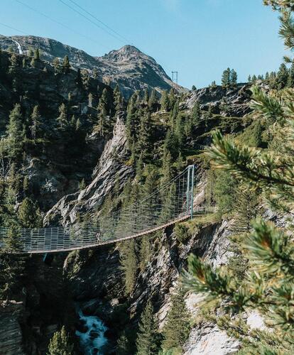 Suspension bridge over a deep gorge, surrounded by dense conifer trees and mountain landscape in the background; clear sky.