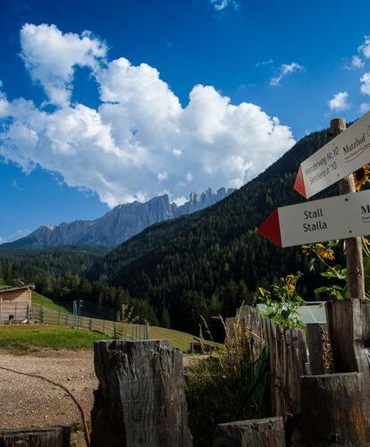 matzhof-2012-shoot1-44