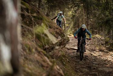 Zwei Mountainbiker fahren einen Trail bergab