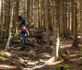 Tre mountain biker scendono lungo un trail