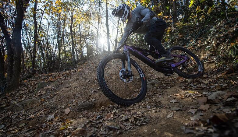 Un uomo scende in bicicletta attraverso il bosco