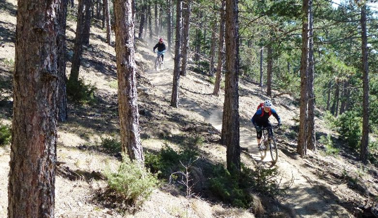 patsch trail (3)