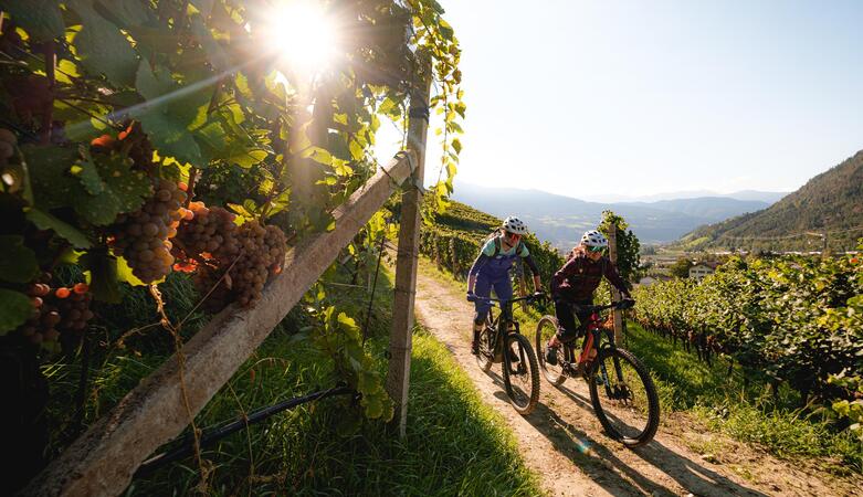 Two mountain bikers are riding a trail in autumn