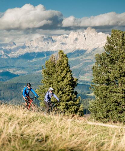 Un uomo e una donna percorrono in bicicletta una strada forestale
