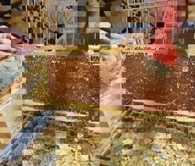 green-days-rosengarten