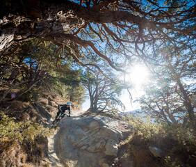 vinschgau-fru-hling-4