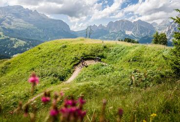 Zwei Mountainbiker fahren einen Trail, umgeben von Almwiesen