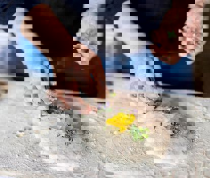 greenday-pfoesl-gross