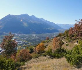 Herbst Vinschgau