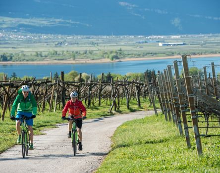 kalterer-see-radweg-5