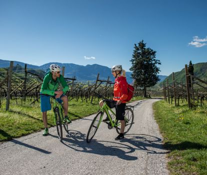 _www.wisthaler.com_14_04_Bikehotels_Apfelb_HAW_0415