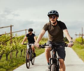 Talradweg in Südtirol beim Kalterer See