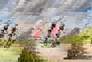 mtb-touren-suedtirol-2