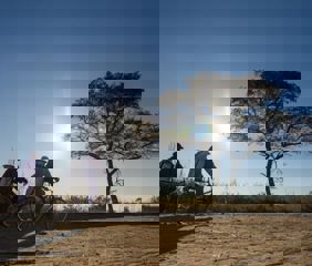 wbr-economic-development8