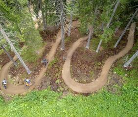 Drei Biker fahren einen Trail