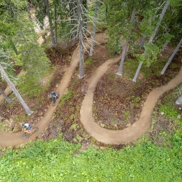 Drei Biker fahren einen Trail