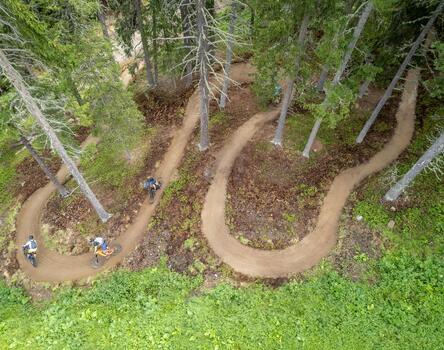 Drei Biker fahren einen Trail