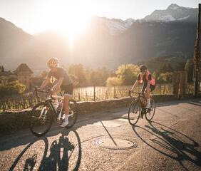 Two road cyclists at sunset