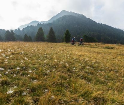 mtb-gro-den-white-russian