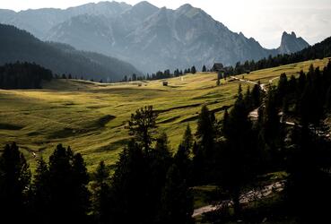 Dolomiten Platzwiese