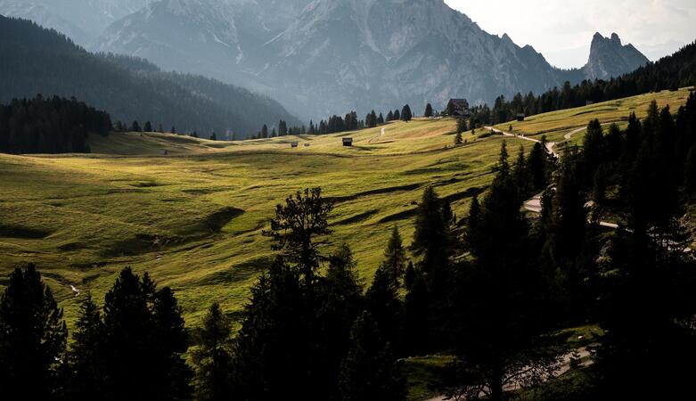 Dolomiten Platzwiese