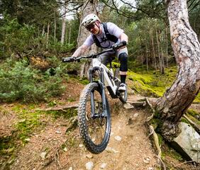 Ein Mountainbiker fährt einen Trail bergab