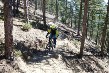 patsch trail (4)