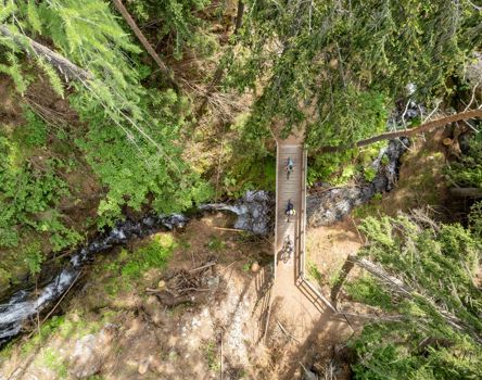 Mountainbiken-Brixen-Wald