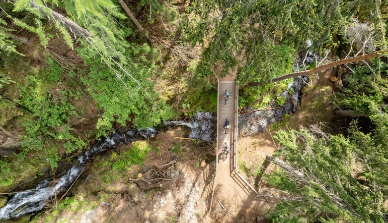 Mountainbiken-Brixen-Wald