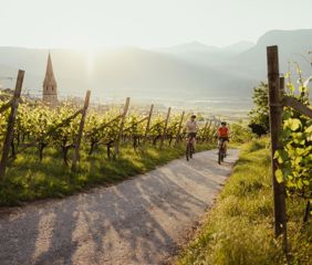 radwege-su-den-su-dtirols-1