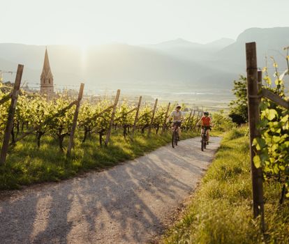 radwege-su-den-su-dtirols-1