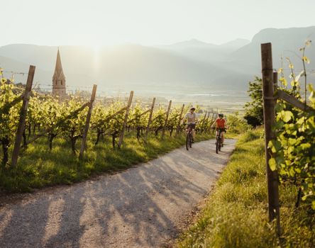 radwege-su-den-su-dtirols-1