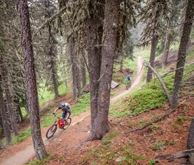 Due mountain biker percorrono un trail