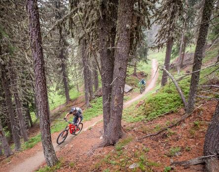 Due mountain biker percorrono un trail