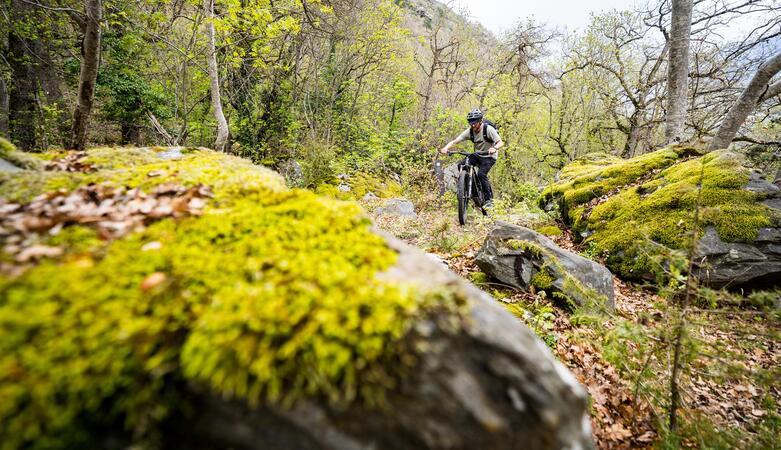 Ein Mann fährt einen Trail