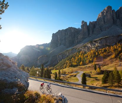 carver-stromberg-rennrad-2