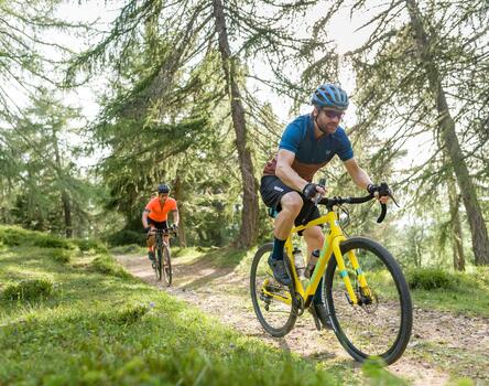 Zwei Mountainbiker radeln durch einen Wald